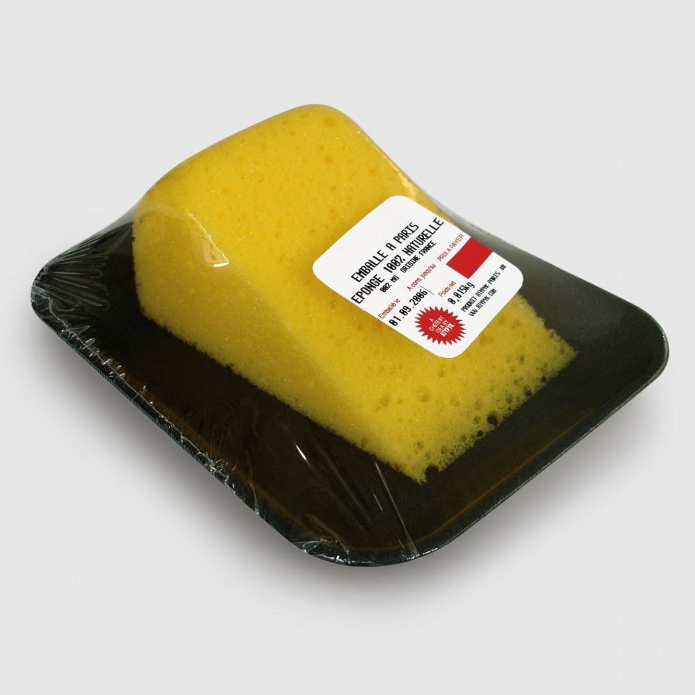 Cheese Sponge