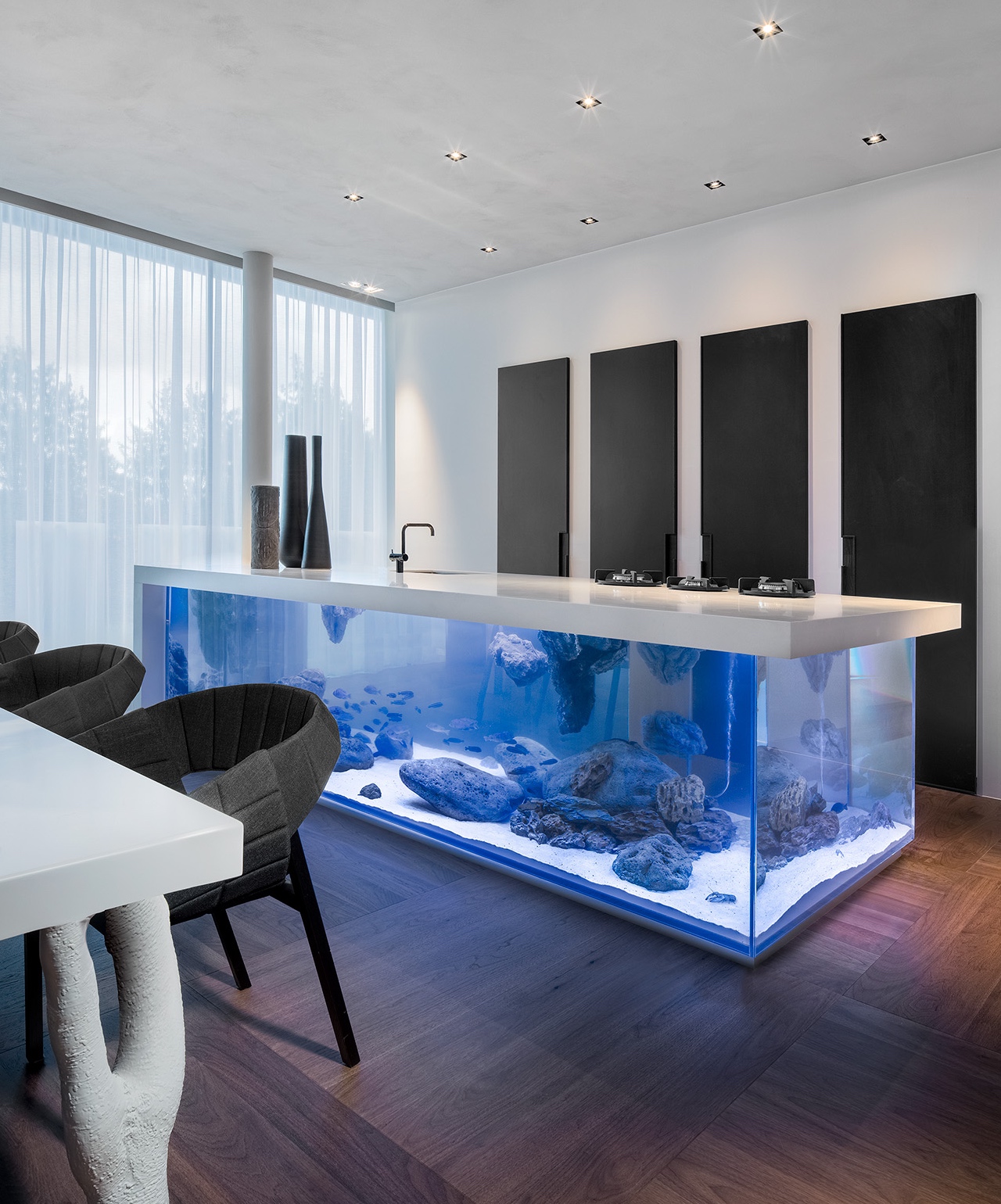 Kitchen Aquarium