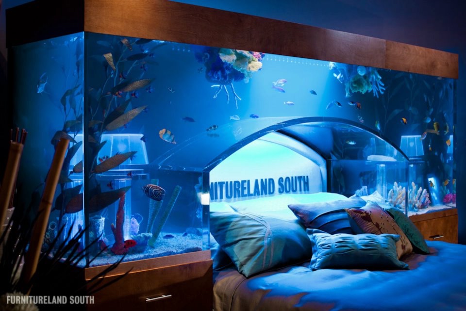 Aquarium Bed