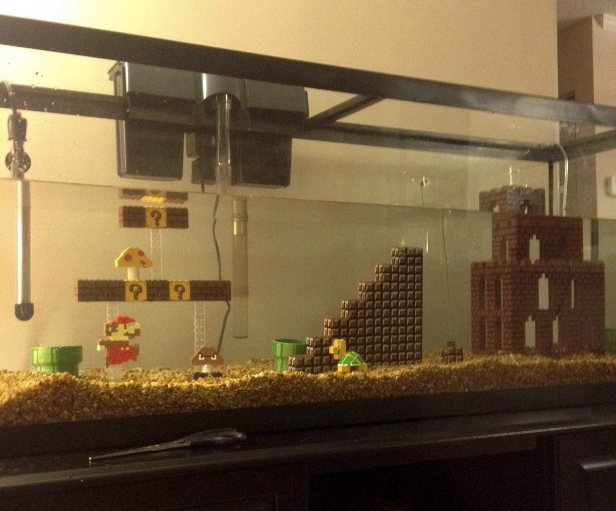 Super Mario Bros Aquarium