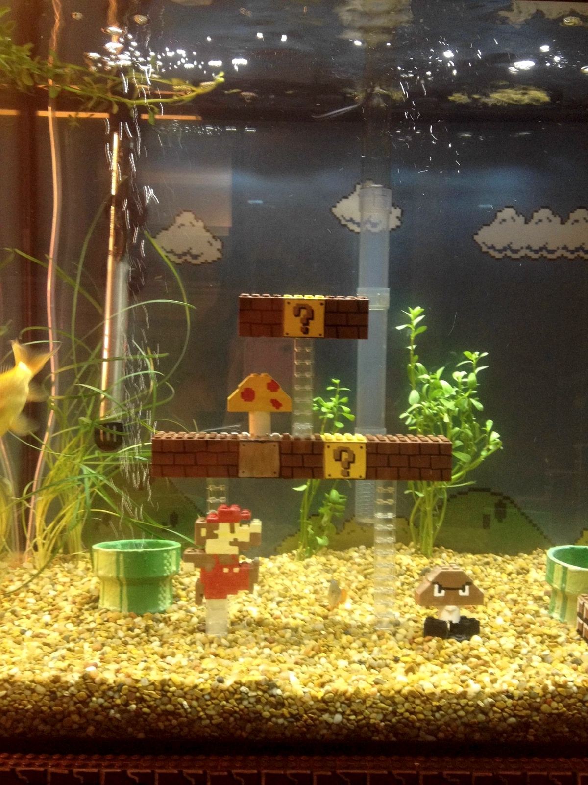 Mario Aquarium