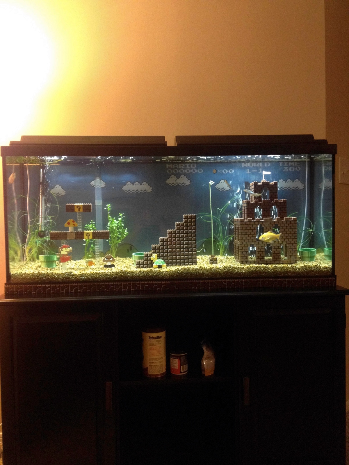 Super Mario Aquarium by Cedrick Bearss