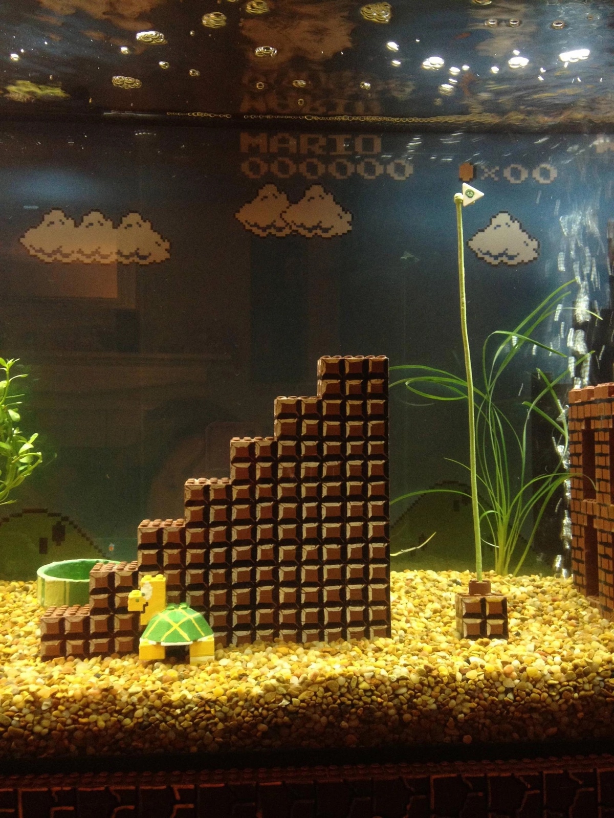 Mario Fish Tank