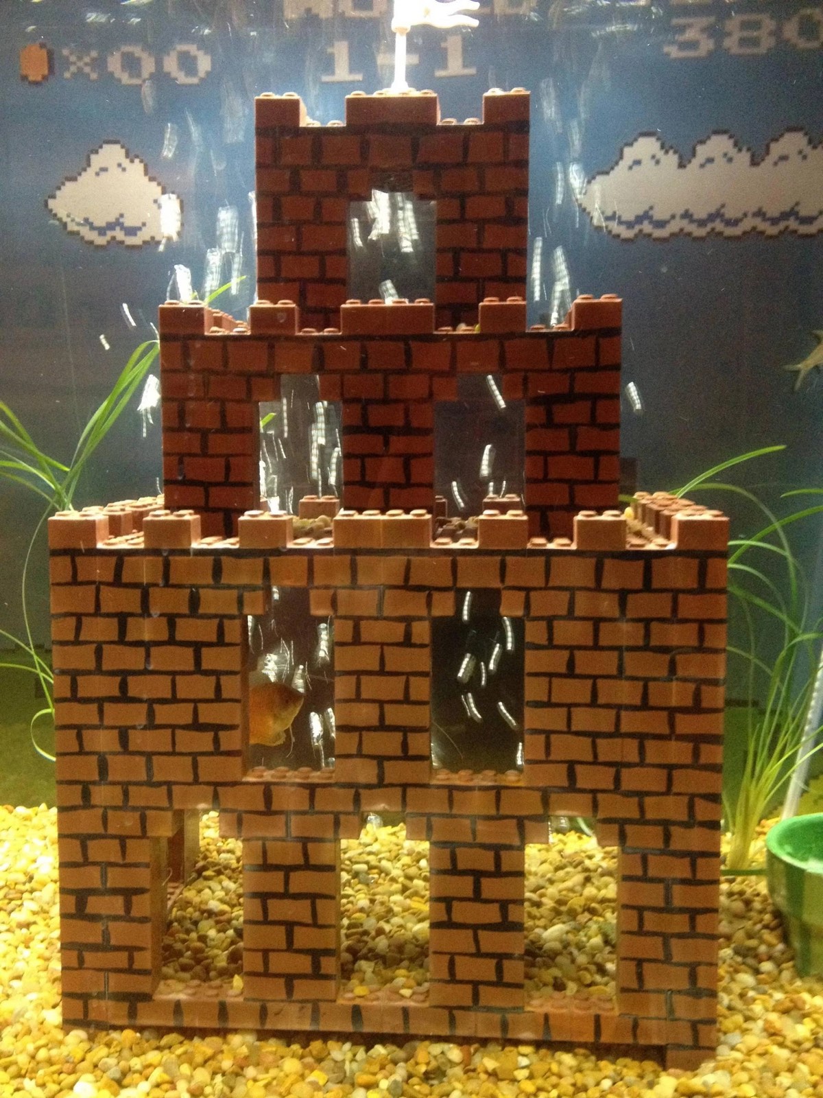 Super Mario Fish Tank