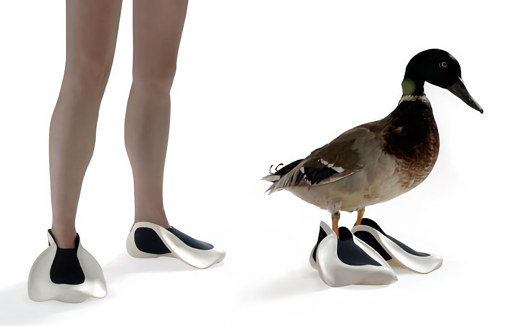 Duck feet shoe on sale covers