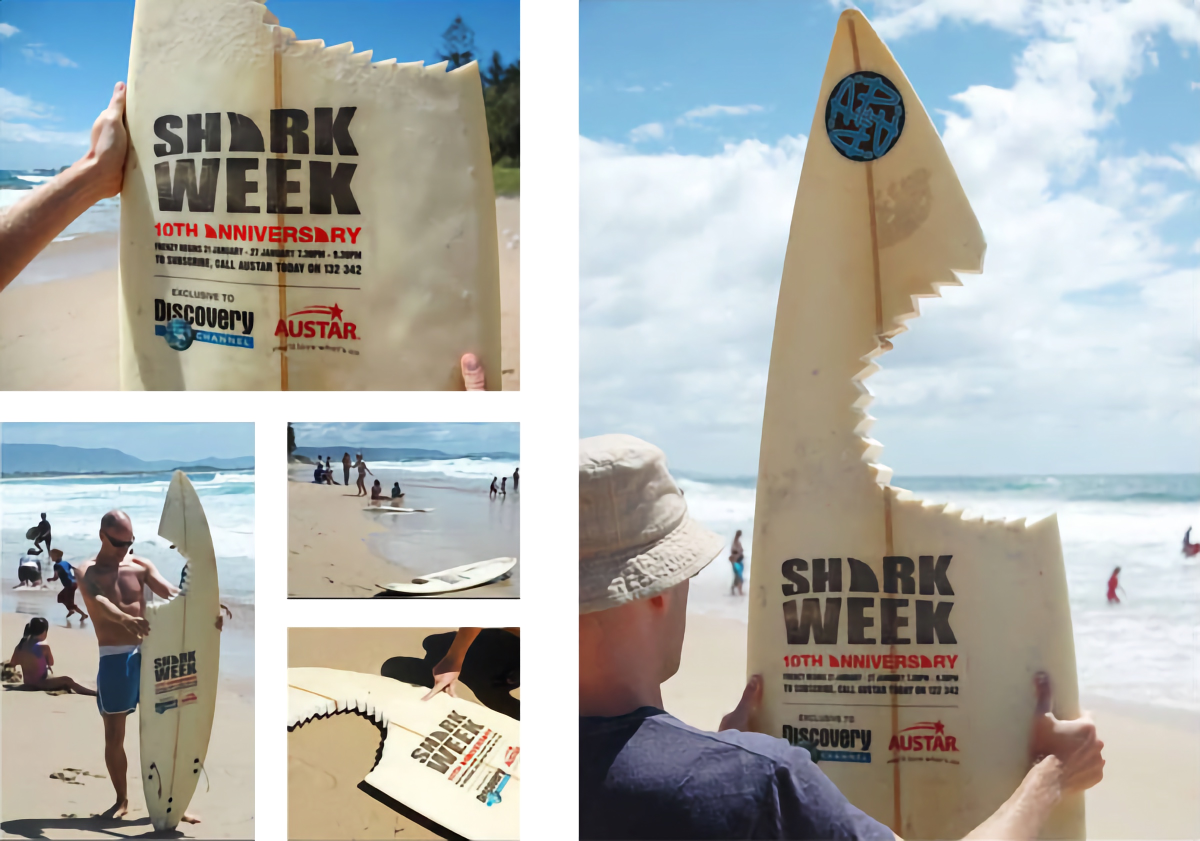 Shark Week Surfboard