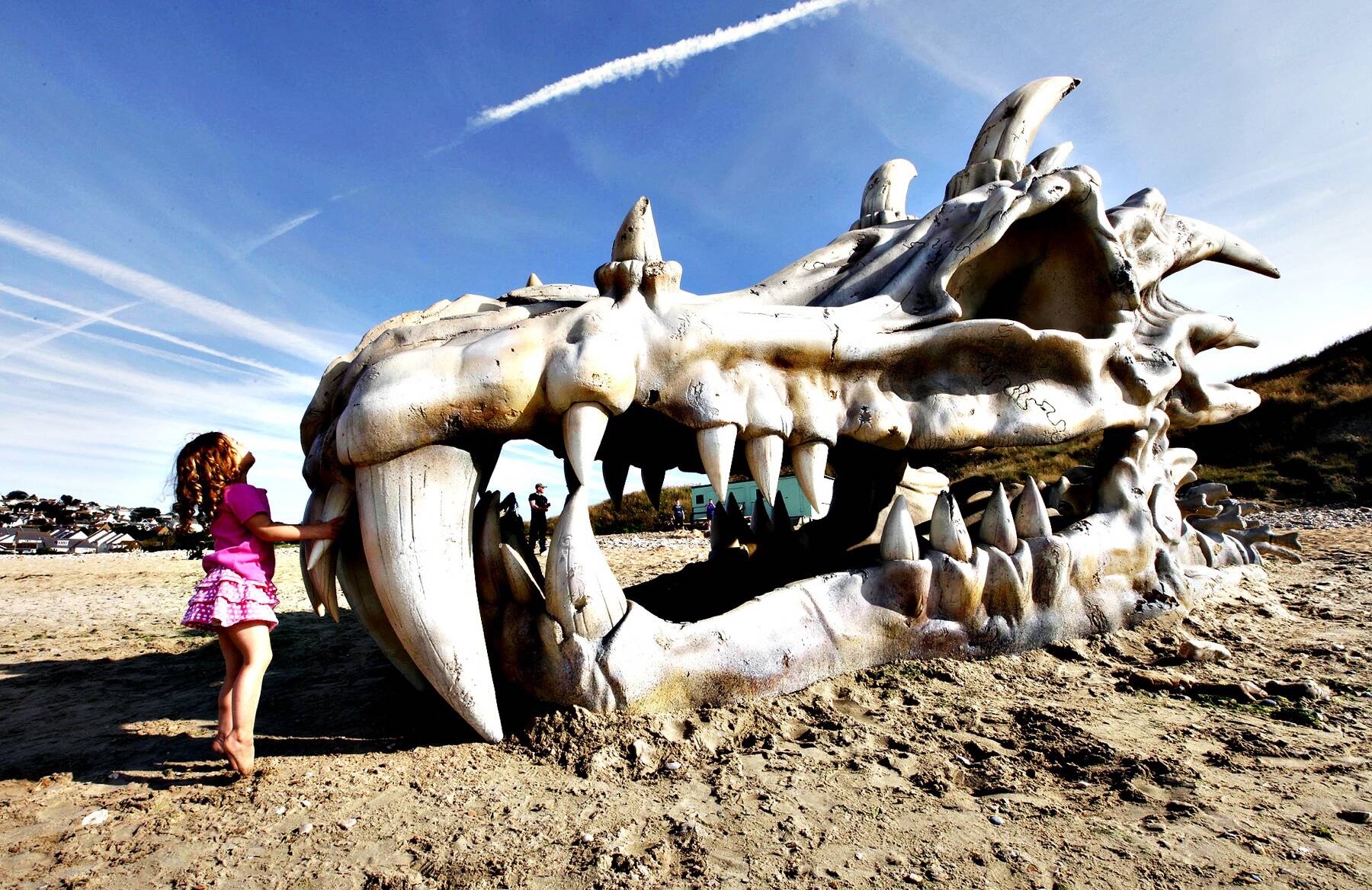 Dragon Skull