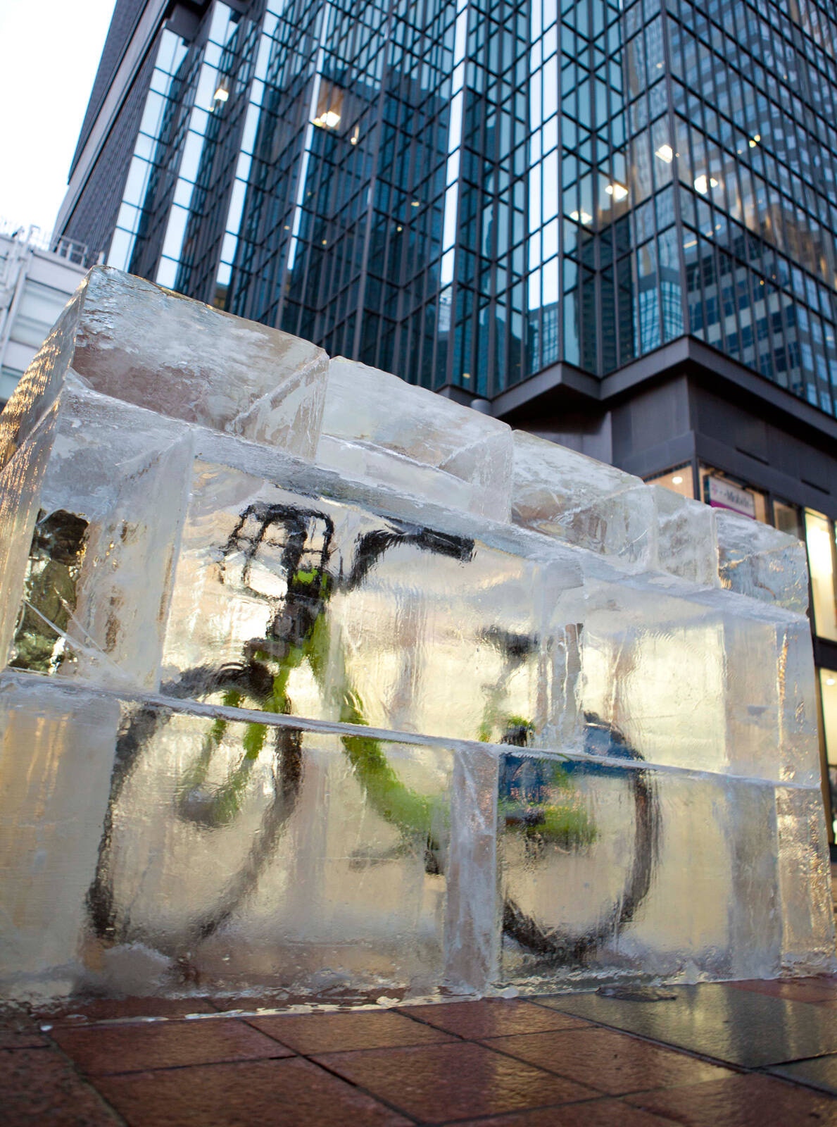 Frozen Bicycle