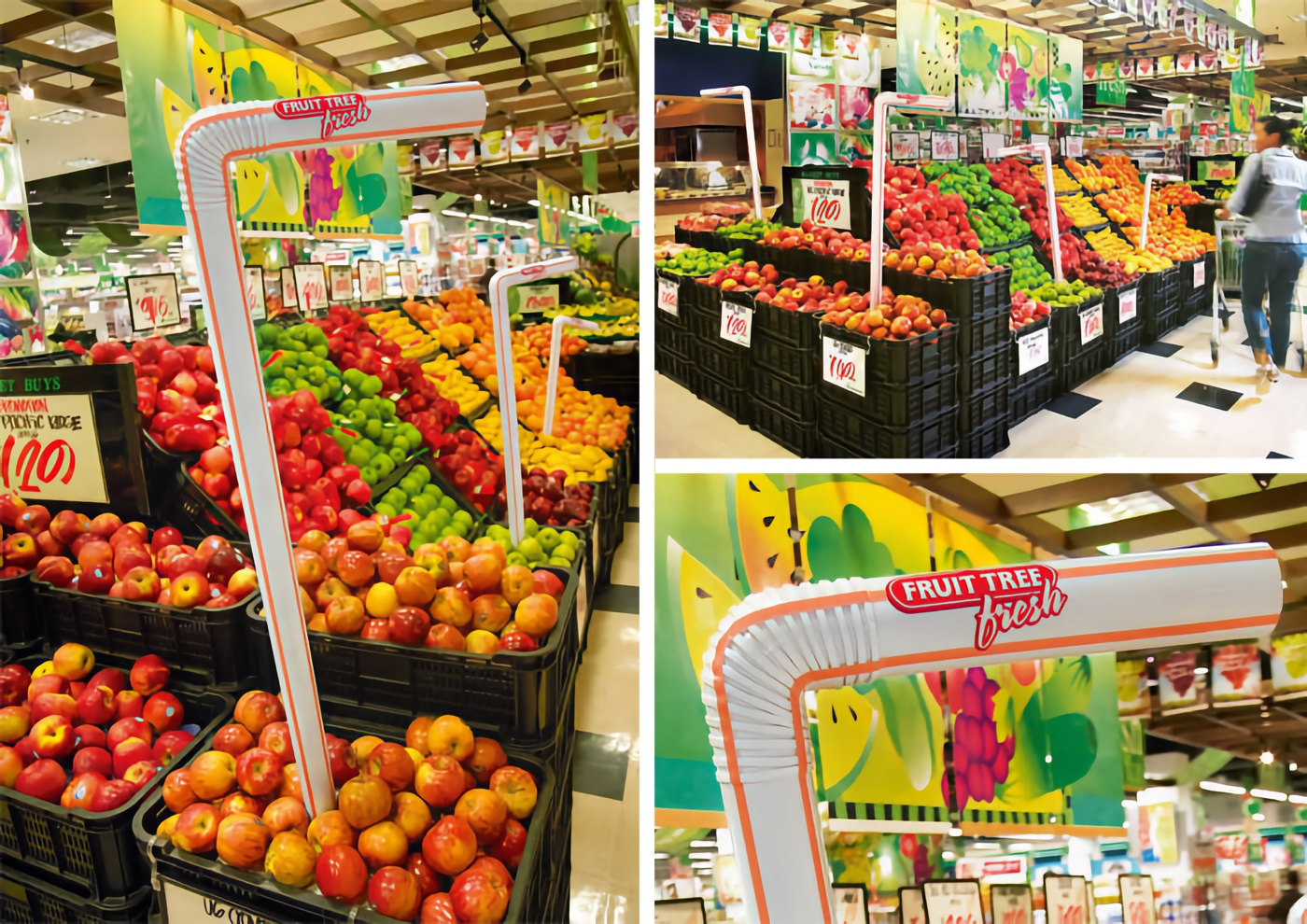 Fruit Tree Fresh Straw