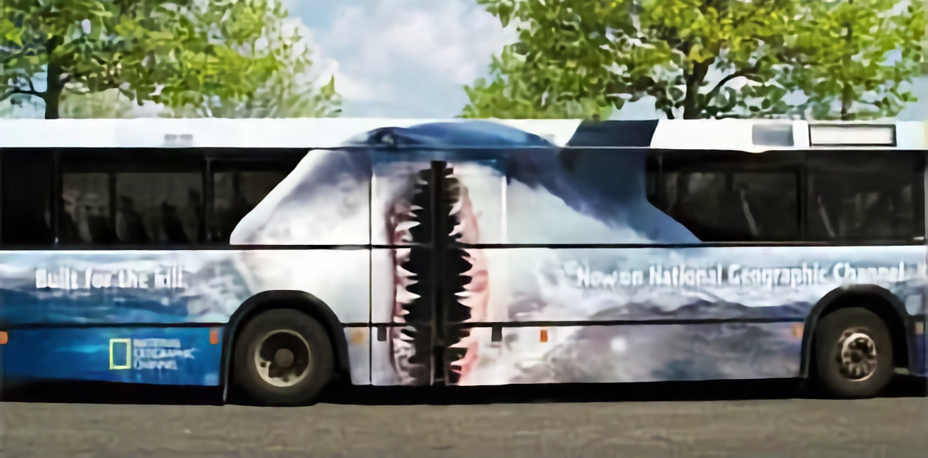 Shark Bus